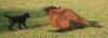 couche5.jpg (30517 octets)