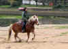 iroy_galop1.jpg (36219 octets)