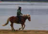 iroy_galop.jpg (15780 octets)