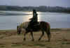 iroy_trot.jpg (29395 octets)