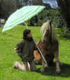 parasol3.jpg (73951 octets)