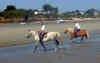 plage1.jpg (56322 octets)