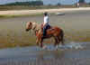 plage2.jpg (58929 octets)