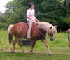 trot.jpg (54302 octets)