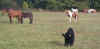 troupo_entier.jpg (67859 octets)